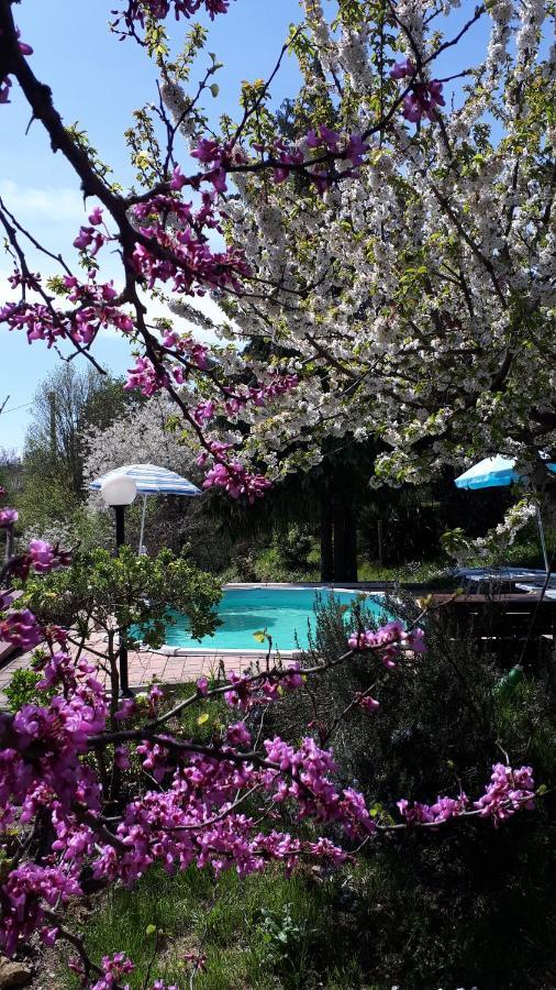 Apartament Il Ciliegio Del Pellegrino Gubbio Zewnętrze zdjęcie