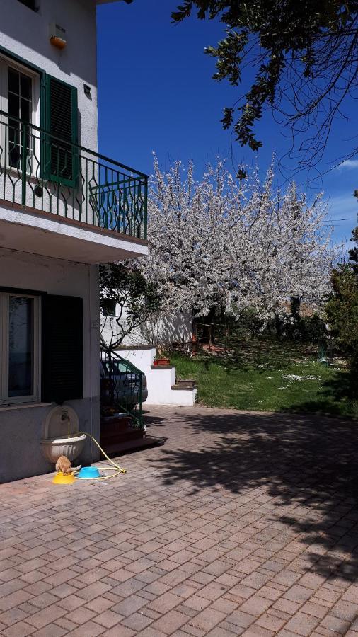 Apartament Il Ciliegio Del Pellegrino Gubbio Zewnętrze zdjęcie